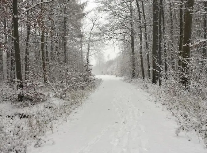 „blaues Schild“ Daire *